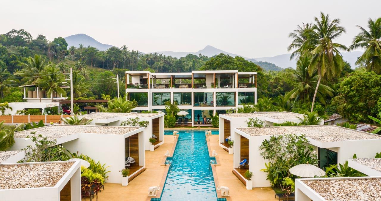 The fifty metre pool at the Koh Phangan hotel framed by palms