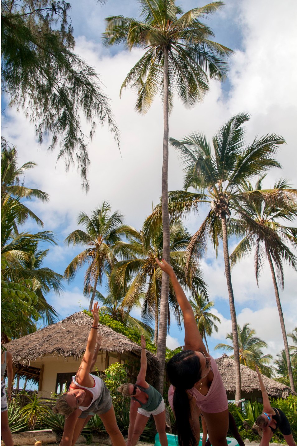 Palm trees rising above the thatched roofs of the beachfront retreat