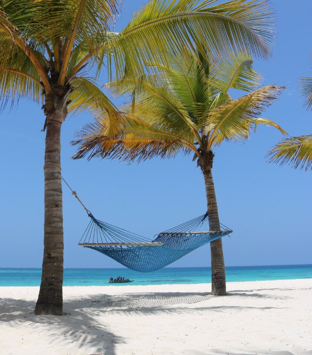 A hammock strung between palms above bright turquoise shallows